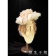 Twin Bears Lace Doll One Piece I(2nd Pre-Order/4 Colours/Full Payment Without Shipping)